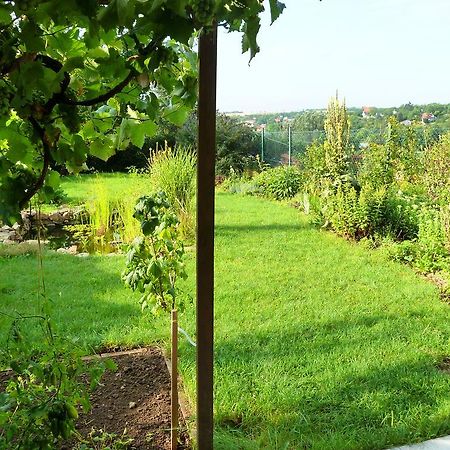 Ubytovani Vinohrady 73 Znojmo Bagian luar foto