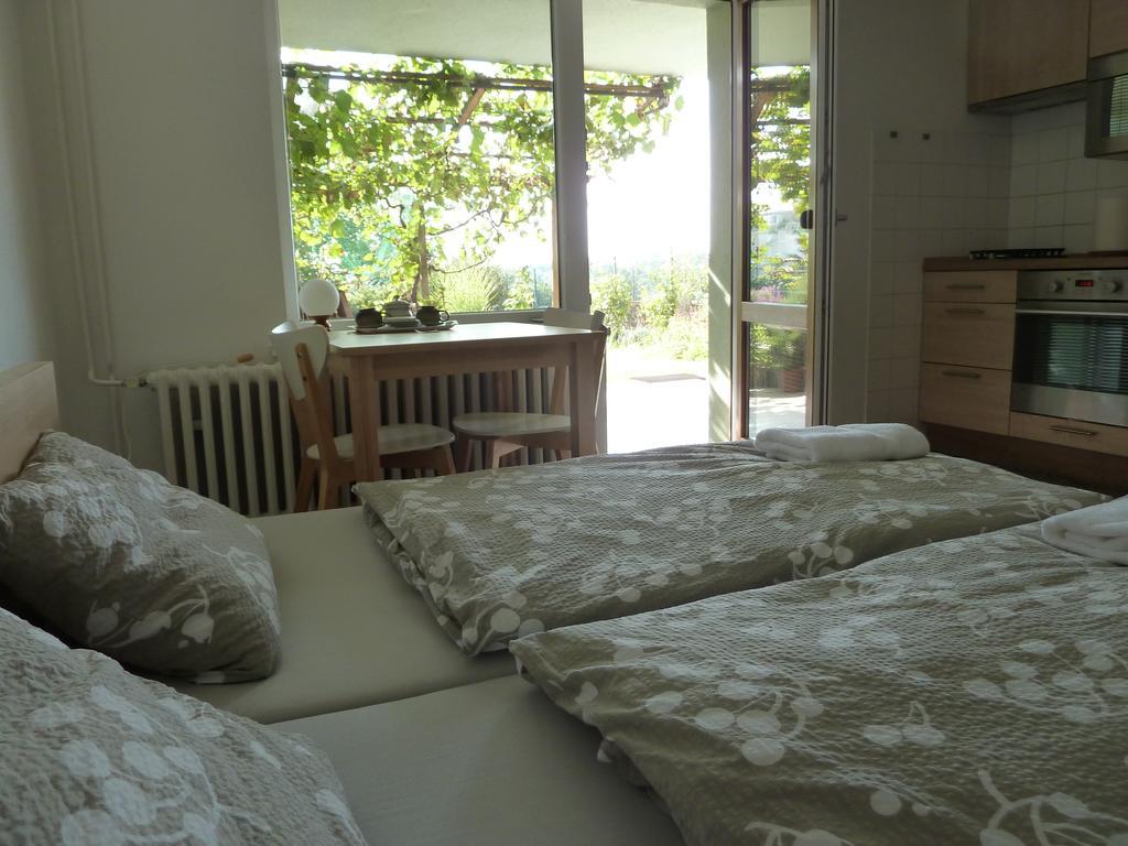 Ubytovani Vinohrady 73 Znojmo Bagian luar foto