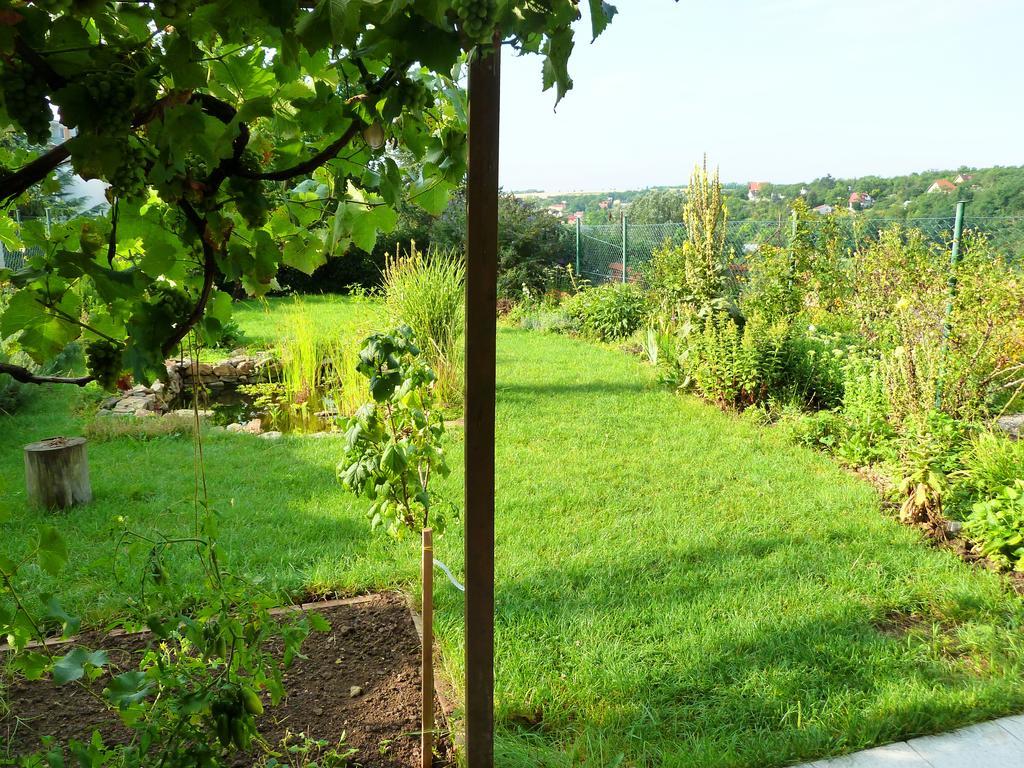 Ubytovani Vinohrady 73 Znojmo Bagian luar foto